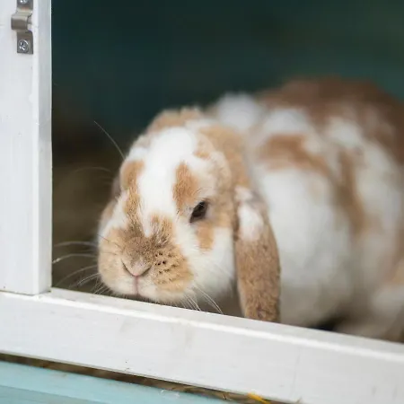 Schoener In Poel In Strandnaehe * Fahrdorf (Mecklenburg-Vorpommern)
