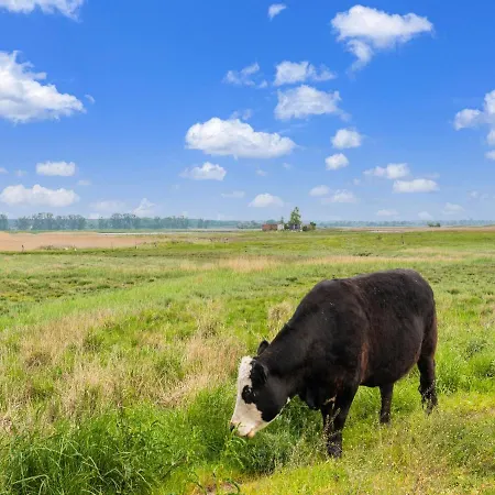 Schoener In Poel In Strandnaehe Дом отдыха Fahrdorf (Mecklenburg-Vorpommern)